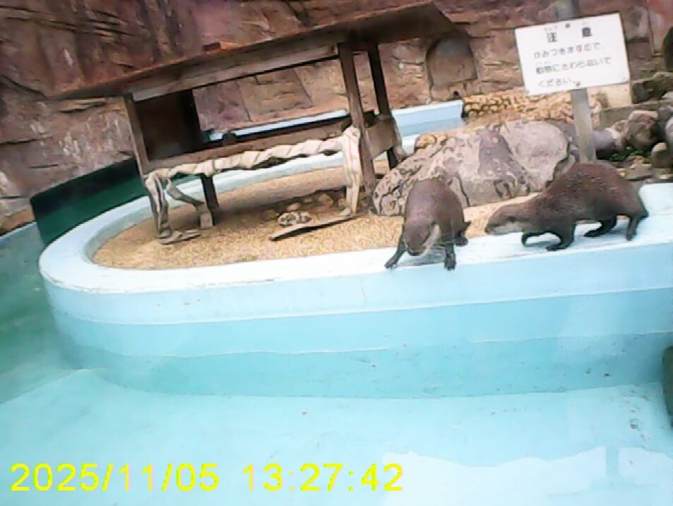 修学旅行に行ったよ！